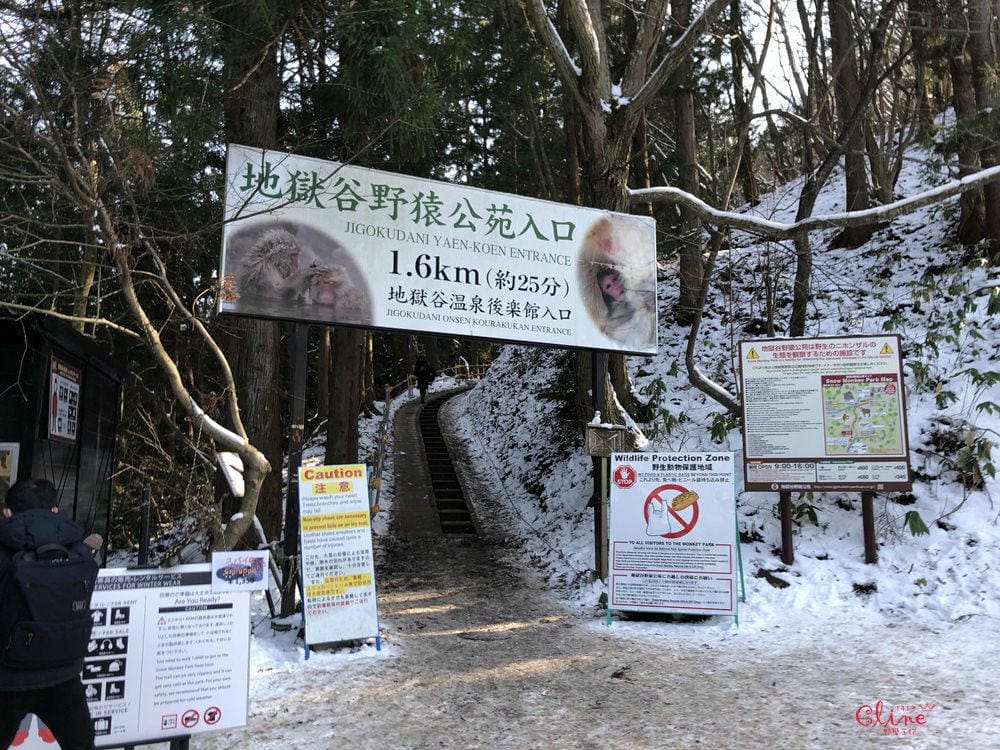 ▎日本滑雪中毒者▎亞洲最大滑雪場【志賀高原燒額山王子大飯店】X地獄谷看雪猴泡溫泉