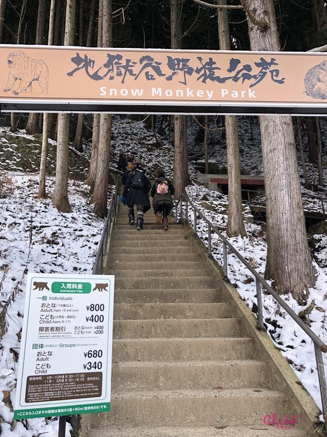 ▎日本滑雪中毒者▎亞洲最大滑雪場【志賀高原燒額山王子大飯店】X地獄谷看雪猴泡溫泉