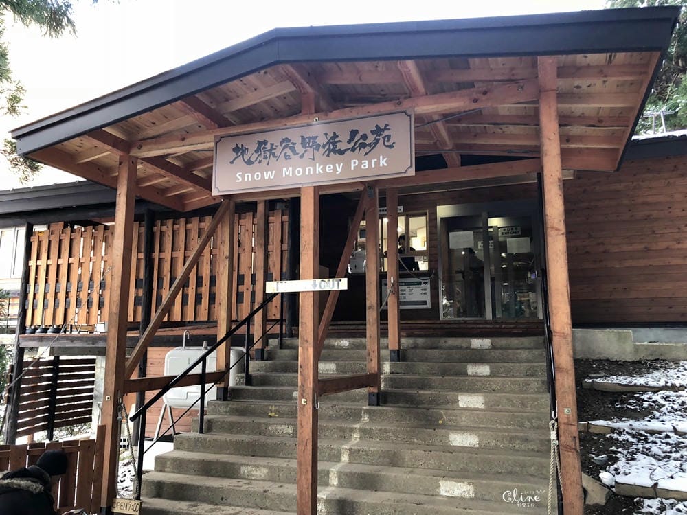 ▎日本滑雪中毒者▎亞洲最大滑雪場【志賀高原燒額山王子大飯店】X地獄谷看雪猴泡溫泉