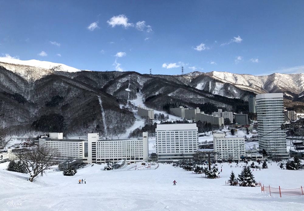 ▌日本滑雪自由行▌苗場王子大飯店x日本滑雪中毒者教練推薦必訪親子滑雪勝地(雪具裝備免煩惱)