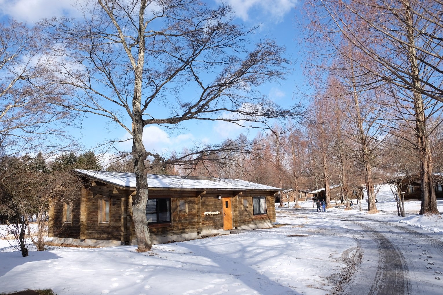 日本滑雪自由行 輕井澤王子大飯店l西館小木屋住宿心得 親子滑雪 Outlet購物行程超適合 野蠻王妃愛漂亮