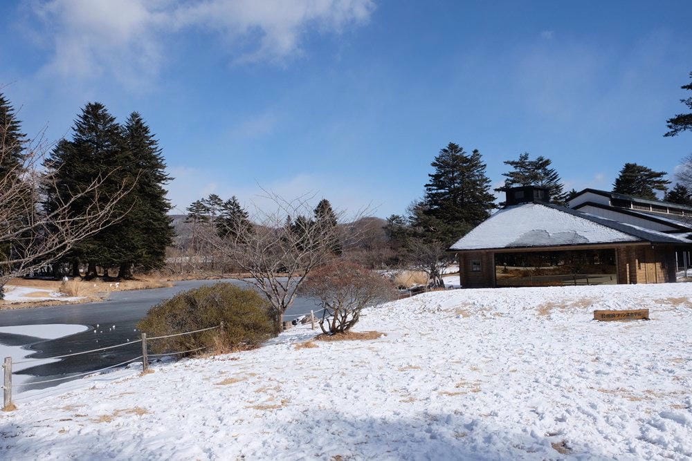 ▌日本滑雪自由行▌輕井澤王子大飯店l西館小木屋住宿心得。親子滑雪+outlet購物行程超適合