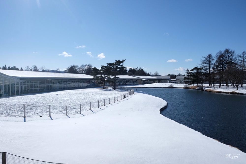 ▌東京近郊購物景點▌超好逛超好買♥輕井澤王子Outlet ♥園區攻略、行李寄放、交通方式(除了Le Creuset，這裡也有達菲熊)