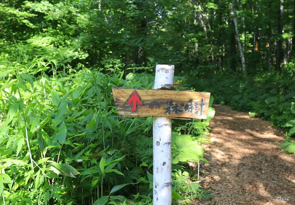 ▌北海道富良野住宿景點▌新富良野王子大飯店 x 人氣夢幻景點【森林精靈露台】