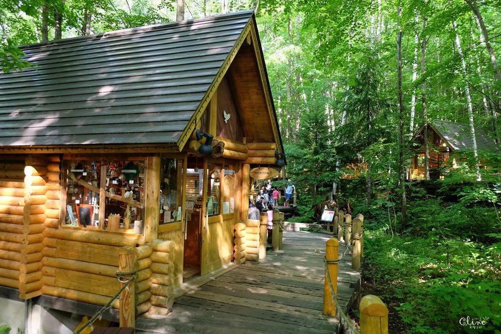 ▌北海道富良野住宿景點▌新富良野王子大飯店 x 人氣夢幻景點【森林精靈露台】