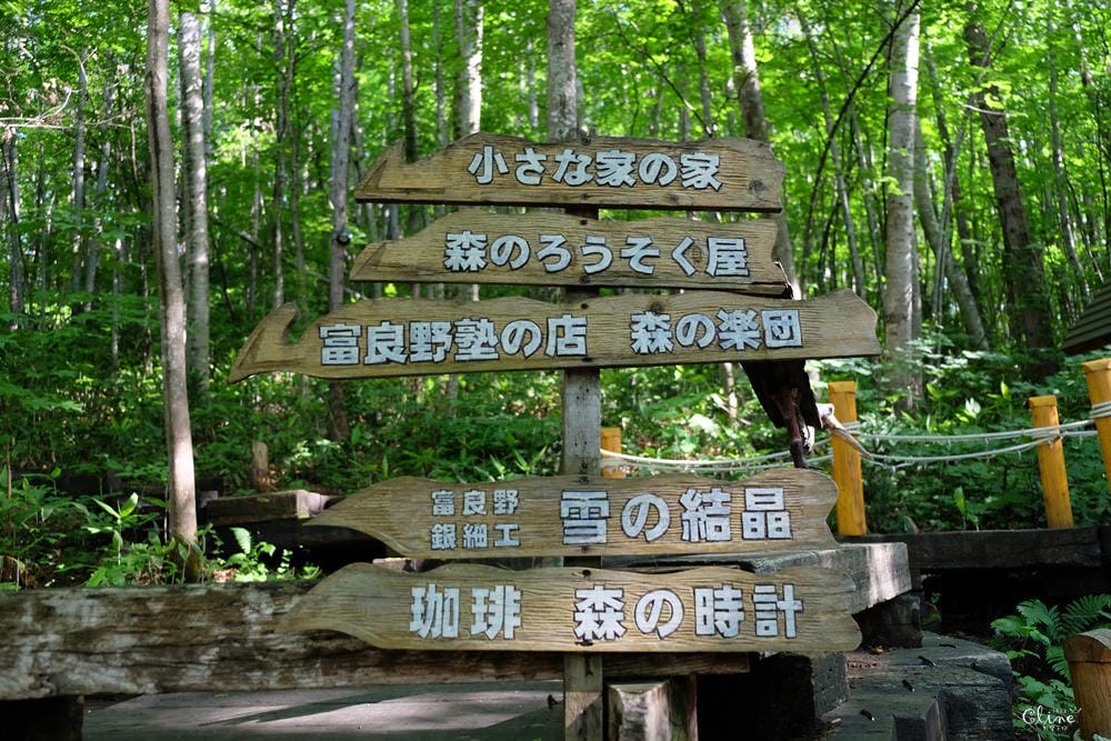 ▌北海道富良野住宿景點▌新富良野王子大飯店 x 人氣夢幻景點【森林精靈露台】