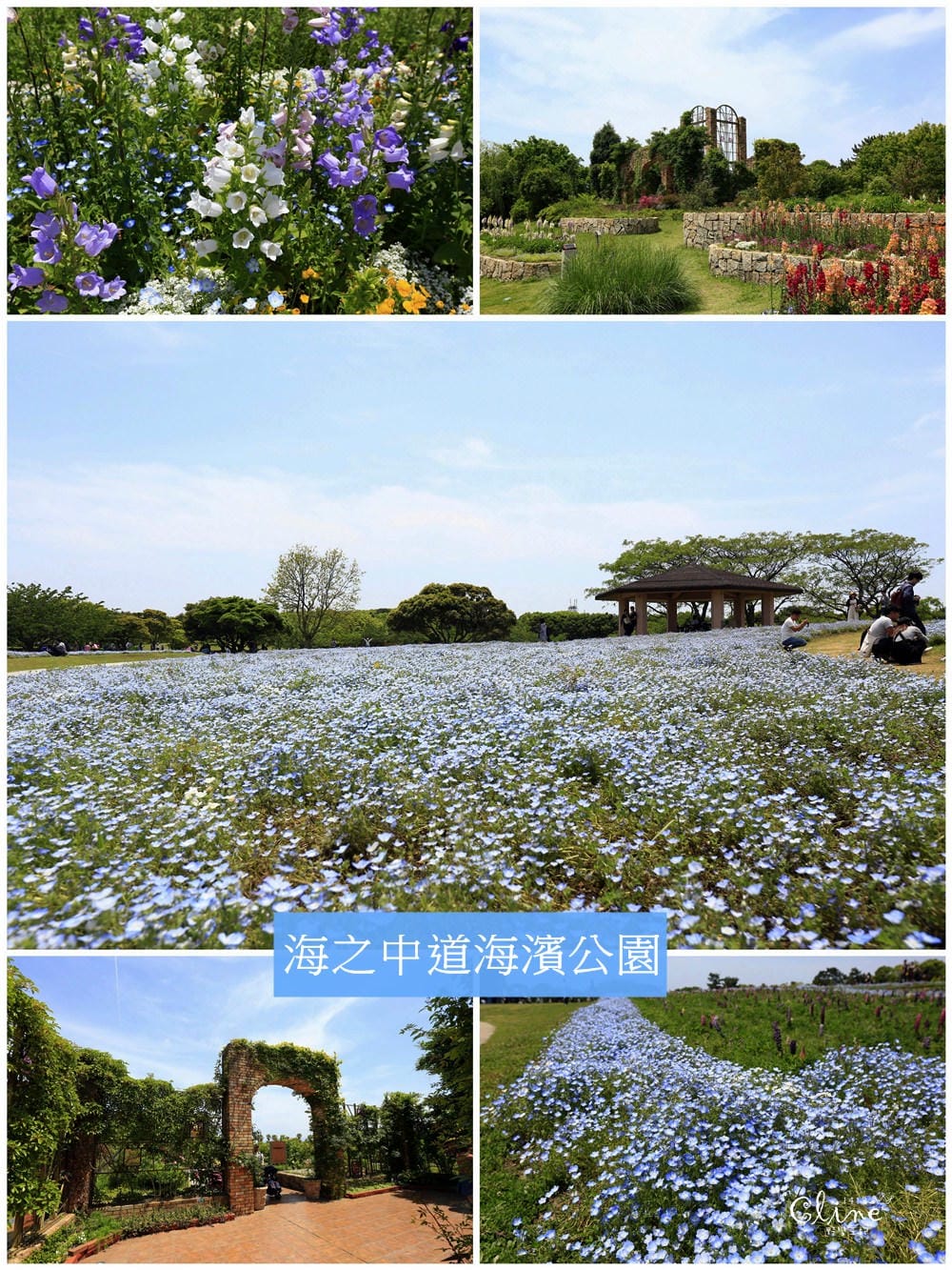 ▌九州自由行▌2018九州自駕行。七天六夜親子行程總覽。博多/熊本/由布院/別府(租車、飯店、景點美食分享)