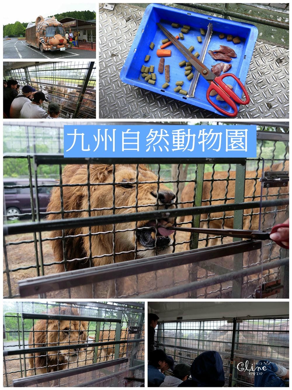▌九州自由行▌2018九州自駕行。七天六夜親子行程總覽。博多/熊本/由布院/別府(租車、飯店、景點美食分享)
