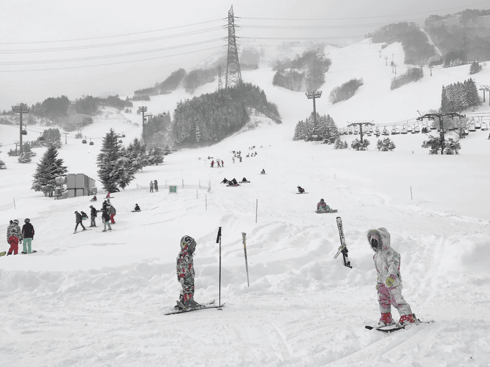 ▍日本滑雪中毒者▍親子滑雪旅行攻略延禧板(Q＆A整理)