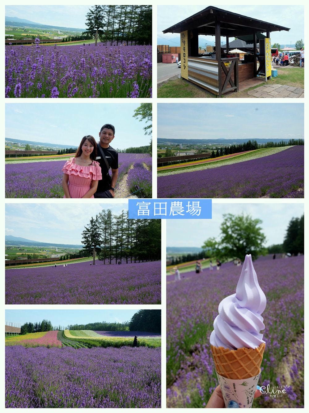 ▌北海道自由行▌八天七夜東京。北海道行程、親子景點、住宿分享