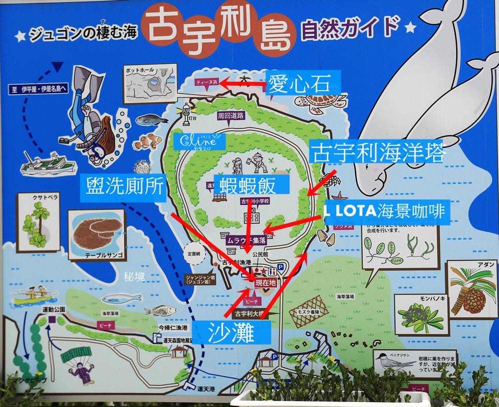 ▌沖繩景點▌【古宇利島】古宇利大橋無敵海景、必吃蝦蝦飯
