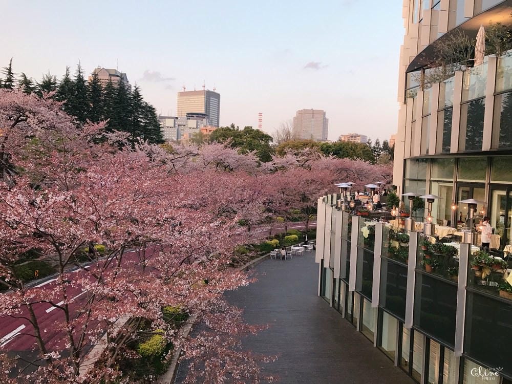 ▌東京住宿推薦▌地點超好【六本木REMM飯店 Remm Roppongi 】六本木站一分鐘，房間有按摩椅