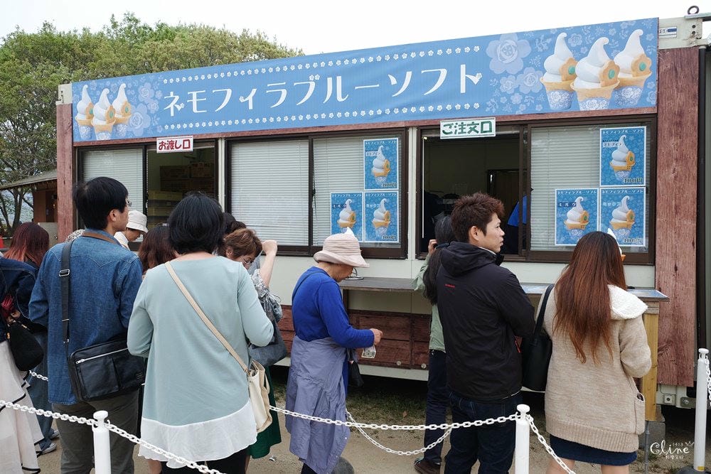 ▌東京賞花一日遊▌一次蒐集【足利公園紫藤花 x 日立海濱公園粉蝶花】此生必看一次夢幻景點