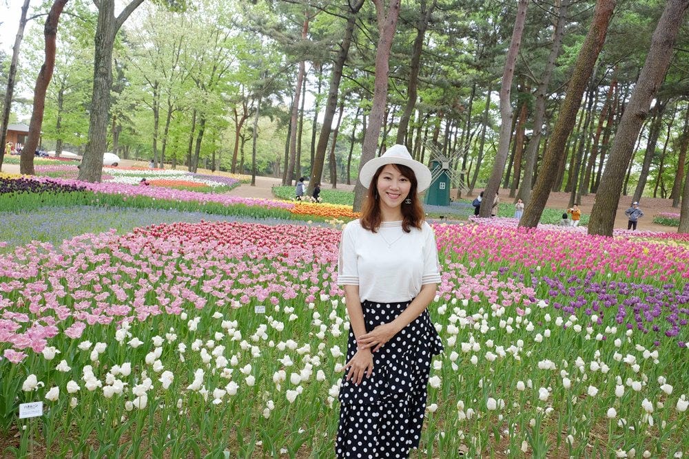 ▌東京賞花一日遊▌一次蒐集【足利公園紫藤花 x 日立海濱公園粉蝶花】此生必看一次夢幻景點