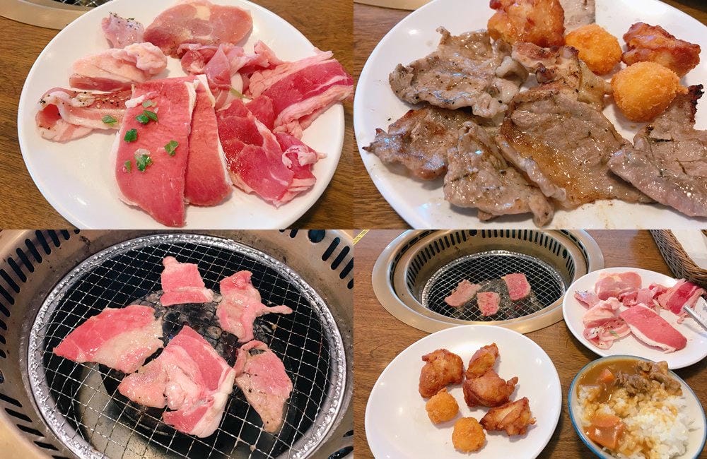 ▌東京賞花一日遊▌一次蒐集【足利公園紫藤花 x 日立海濱公園粉蝶花】此生必看一次夢幻景點