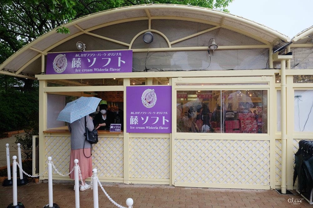 ▌東京賞花一日遊▌一次蒐集【足利公園紫藤花 x 日立海濱公園粉蝶花】此生必看一次夢幻景點