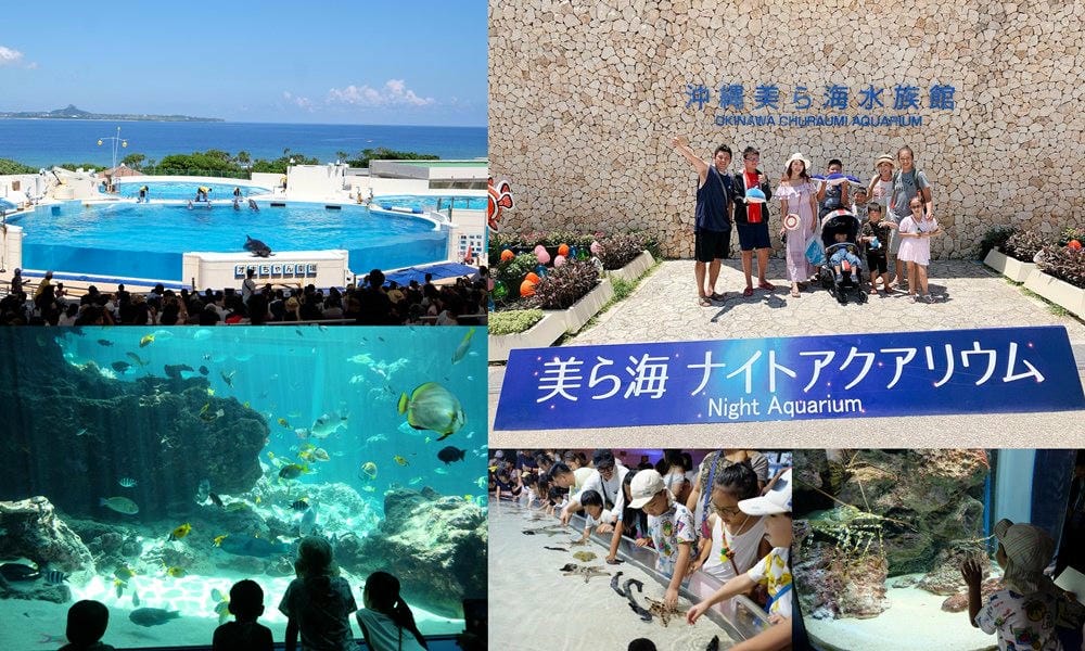 ▌沖繩自由行▌2018沖繩自駕行程規劃。六天五夜沖繩親子景點、住宿分享