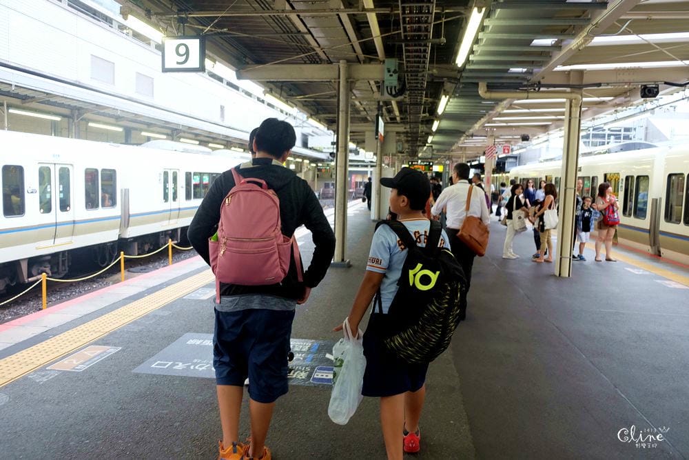 ▌京都自由行 ▌宇治半日遊散策(平等院、中村藤吉、三室戶寺繡球花) - 第4張圖 ▌京都自由行 ▌宇治半日遊散策(平等院、中村藤吉、三室戶寺繡球花)