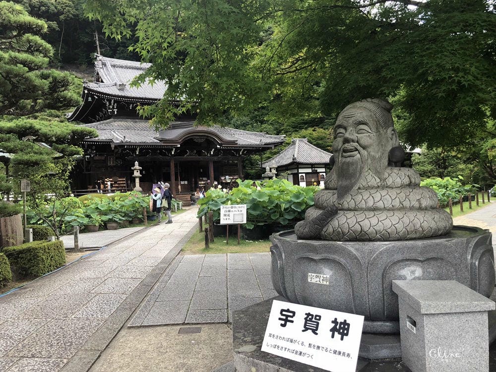 ▌京都自由行 ▌宇治半日遊散策(平等院、中村藤吉、三室戶寺繡球花) - 第71張圖 ▌京都自由行 ▌宇治半日遊散策(平等院、中村藤吉、三室戶寺繡球花)