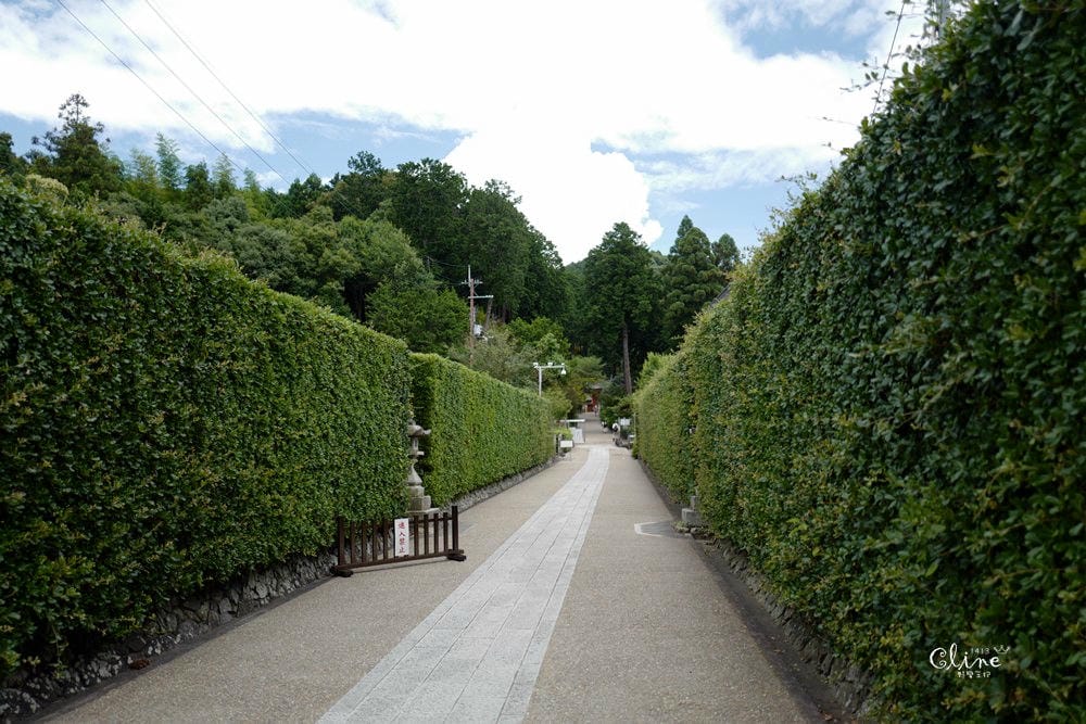▌京都自由行 ▌宇治半日遊散策(平等院、中村藤吉、三室戶寺繡球花) - 第54張圖 ▌京都自由行 ▌宇治半日遊散策(平等院、中村藤吉、三室戶寺繡球花)