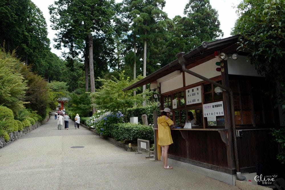 ▌京都自由行 ▌宇治半日遊散策(平等院、中村藤吉、三室戶寺繡球花) - 第56張圖 ▌京都自由行 ▌宇治半日遊散策(平等院、中村藤吉、三室戶寺繡球花)