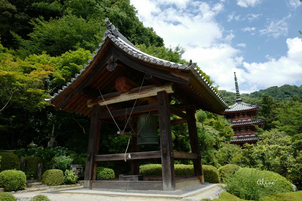 ▌京都自由行 ▌宇治半日遊散策(平等院、中村藤吉、三室戶寺繡球花) - 第70張圖 ▌京都自由行 ▌宇治半日遊散策(平等院、中村藤吉、三室戶寺繡球花)