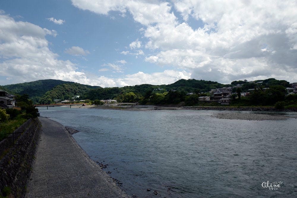 ▌京都自由行 ▌宇治半日遊散策(平等院、中村藤吉、三室戶寺繡球花) - 第75張圖 ▌京都自由行 ▌宇治半日遊散策(平等院、中村藤吉、三室戶寺繡球花)