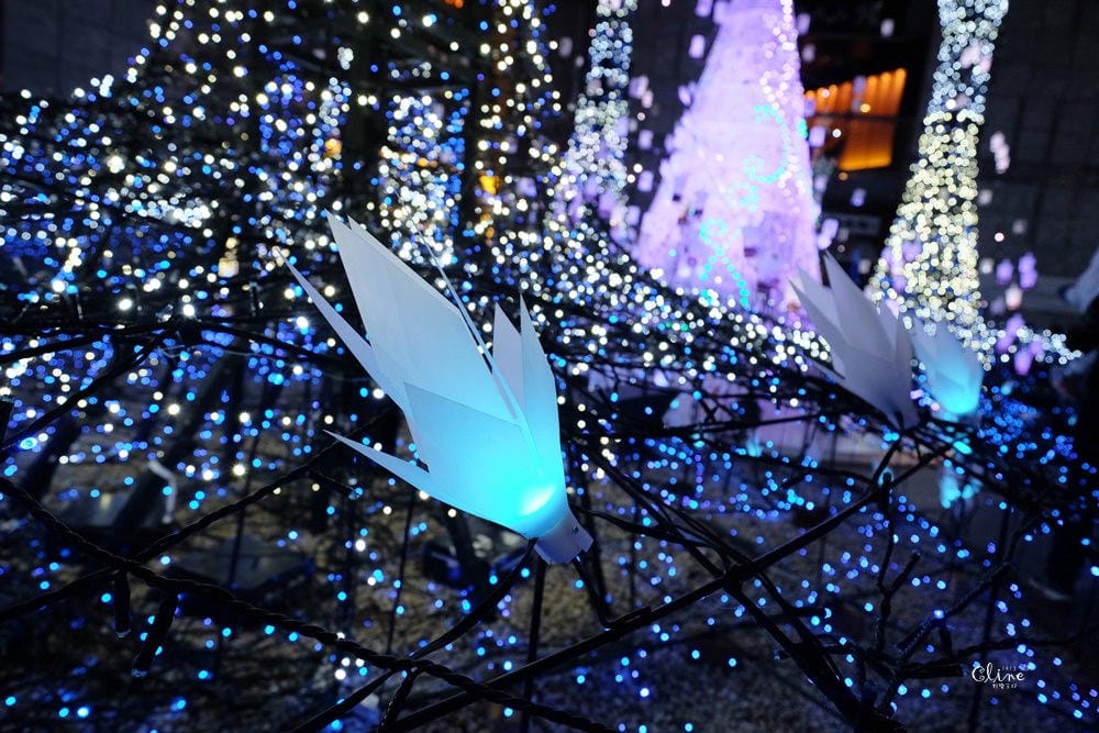 ▌2018東京聖誕燈飾▌東京最美【Caretta汐留浪漫點燈】冰雪奇緣、魔髮奇緣輪番上場