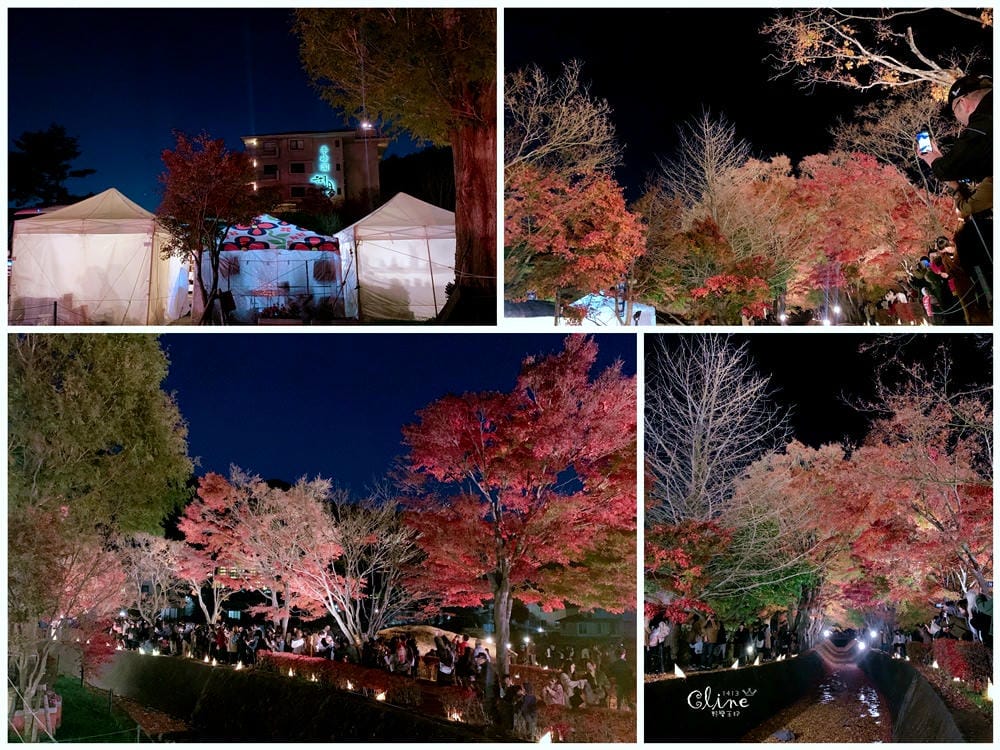 ▌2018東京博多自駕自由行▌從由布院、黑川溫泉玩到富士山河口湖、箱根。  賞楓自駕自由行！