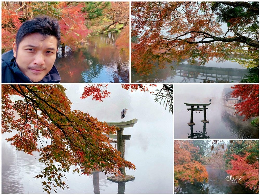 ▌2018東京博多自駕自由行▌從由布院、黑川溫泉玩到富士山河口湖、箱根。  賞楓自駕自由行！