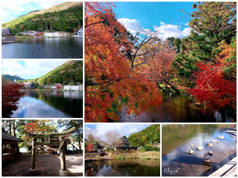 ▌2018東京博多自駕自由行▌從由布院、黑川溫泉玩到富士山河口湖、箱根。  賞楓自駕自由行！