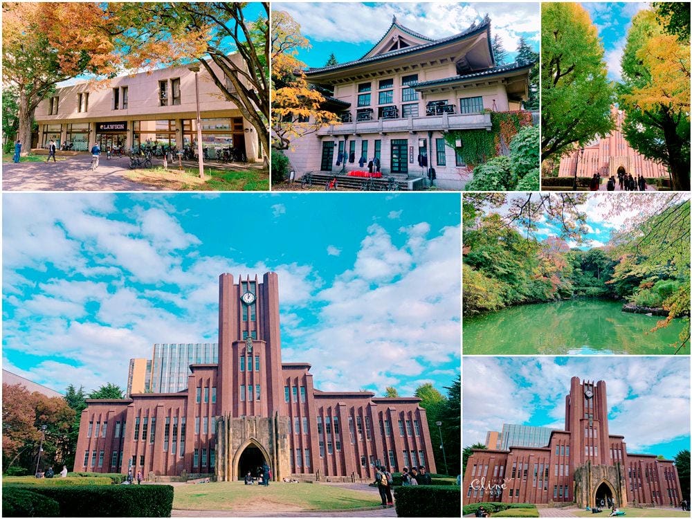 ▌2018東京博多自駕自由行▌從由布院、黑川溫泉玩到富士山河口湖、箱根。  賞楓自駕自由行！