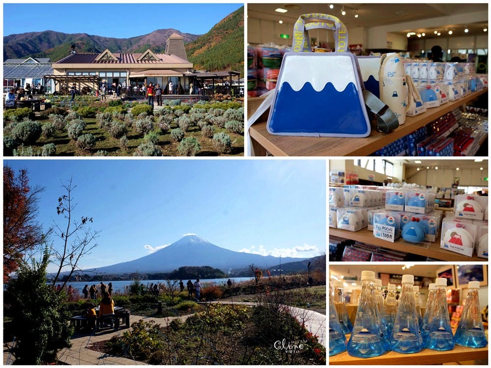 ▌2018東京博多自駕自由行▌從由布院、黑川溫泉玩到富士山河口湖、箱根。  賞楓自駕自由行！