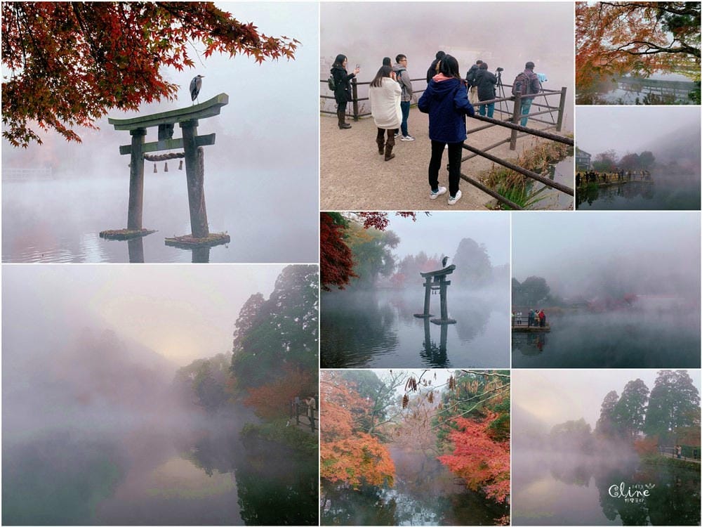 ▌2018東京博多自駕自由行▌從由布院、黑川溫泉玩到富士山河口湖、箱根。  賞楓自駕自由行！