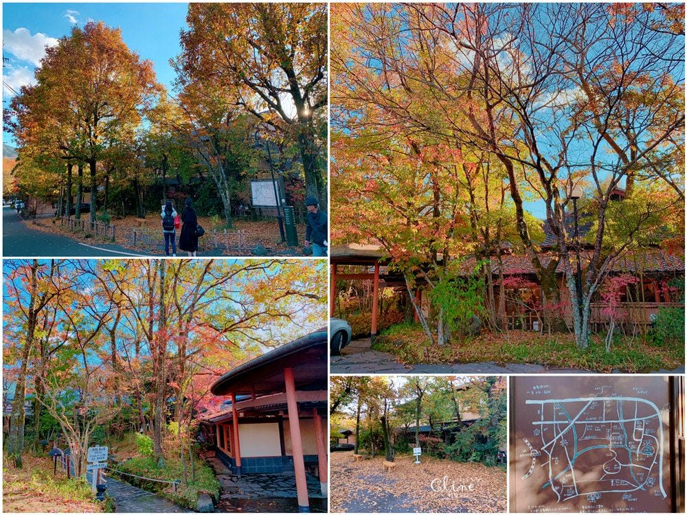 ▌2018東京博多自駕自由行▌從由布院、黑川溫泉玩到富士山河口湖、箱根。  賞楓自駕自由行！