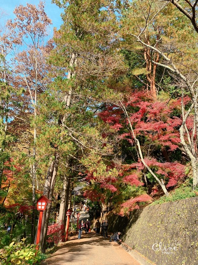 ▌河口湖景點▌2018新倉富士淺間神社。春櫻秋楓必來的景點之一 - 第22張圖 ▌河口湖景點▌2018新倉富士淺間神社。春櫻秋楓必來的景點之一