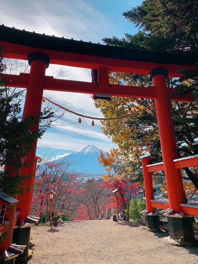 ▌河口湖景點▌2018新倉富士淺間神社。春櫻秋楓必來的景點之一 - 第11張圖 ▌河口湖景點▌2018新倉富士淺間神社。春櫻秋楓必來的景點之一