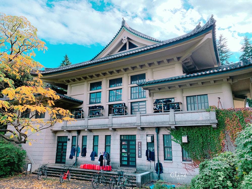 ▌東京大學銀杏▌ 超級無敵夢幻的銀杏併木群，彷彿走進金黃色的銀杏世界。安田講堂、赤門也是必訪的景點之一