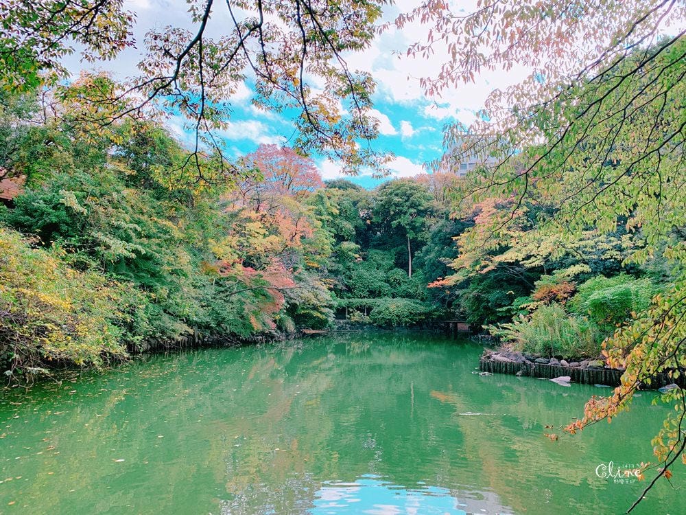 ▌東京大學銀杏▌ 超級無敵夢幻的銀杏併木群，彷彿走進金黃色的銀杏世界。安田講堂、赤門也是必訪的景點之一