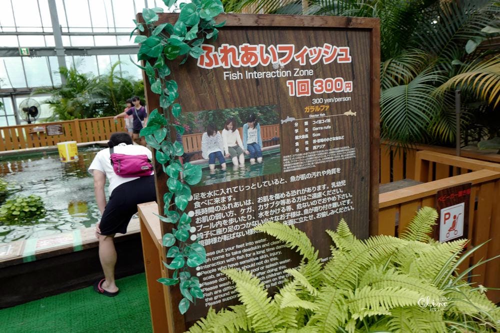 ▌神戶親子景點▌神戶動物王國(神戸どうぶつ王国) 親子行程x雨天備案好去處 - 第57張圖 ▌神戶親子景點▌神戶動物王國(神戸どうぶつ王国) 親子行程x雨天備案好去處