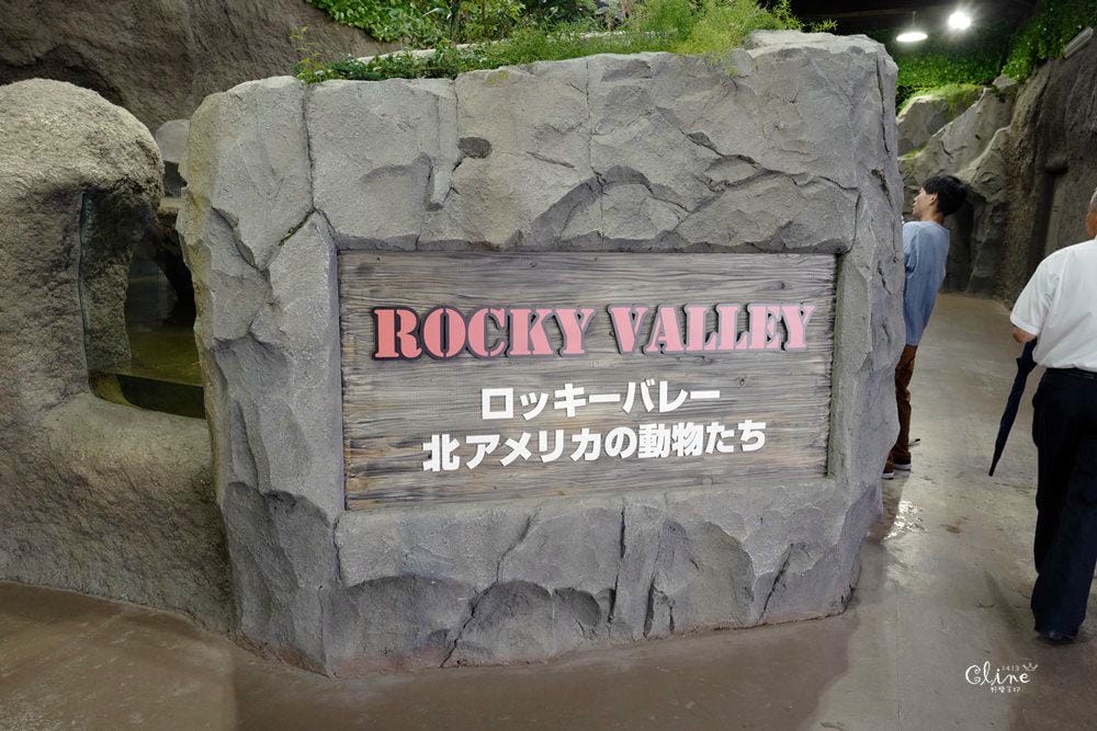 ▌神戶親子景點▌神戶動物王國(神戸どうぶつ王国) 親子行程x雨天備案好去處 - 第27張圖 ▌神戶親子景點▌神戶動物王國(神戸どうぶつ王国) 親子行程x雨天備案好去處