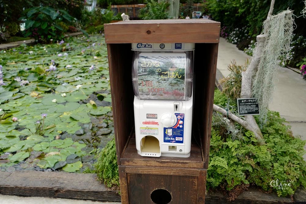 ▌神戶親子景點▌神戶動物王國(神戸どうぶつ王国) 親子行程x雨天備案好去處 - 第56張圖 ▌神戶親子景點▌神戶動物王國(神戸どうぶつ王国) 親子行程x雨天備案好去處