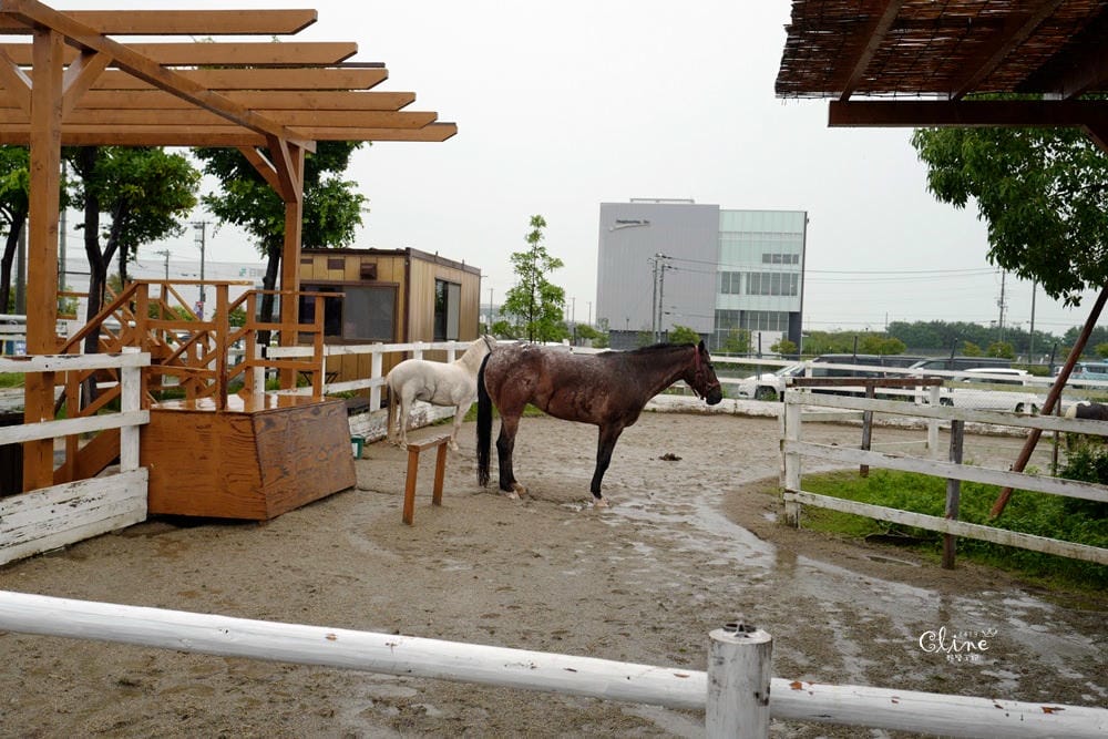 ▌神戶親子景點▌神戶動物王國(神戸どうぶつ王国) 親子行程x雨天備案好去處 - 第17張圖 ▌神戶親子景點▌神戶動物王國(神戸どうぶつ王国) 親子行程x雨天備案好去處