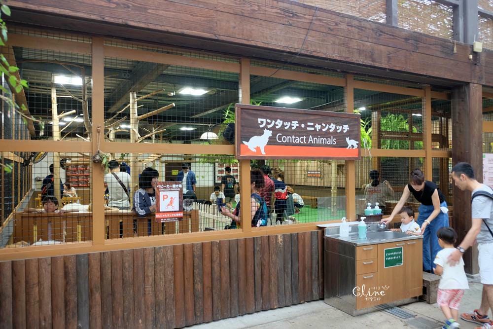 ▌神戶親子景點▌神戶動物王國(神戸どうぶつ王国) 親子行程x雨天備案好去處 - 第44張圖 ▌神戶親子景點▌神戶動物王國(神戸どうぶつ王国) 親子行程x雨天備案好去處