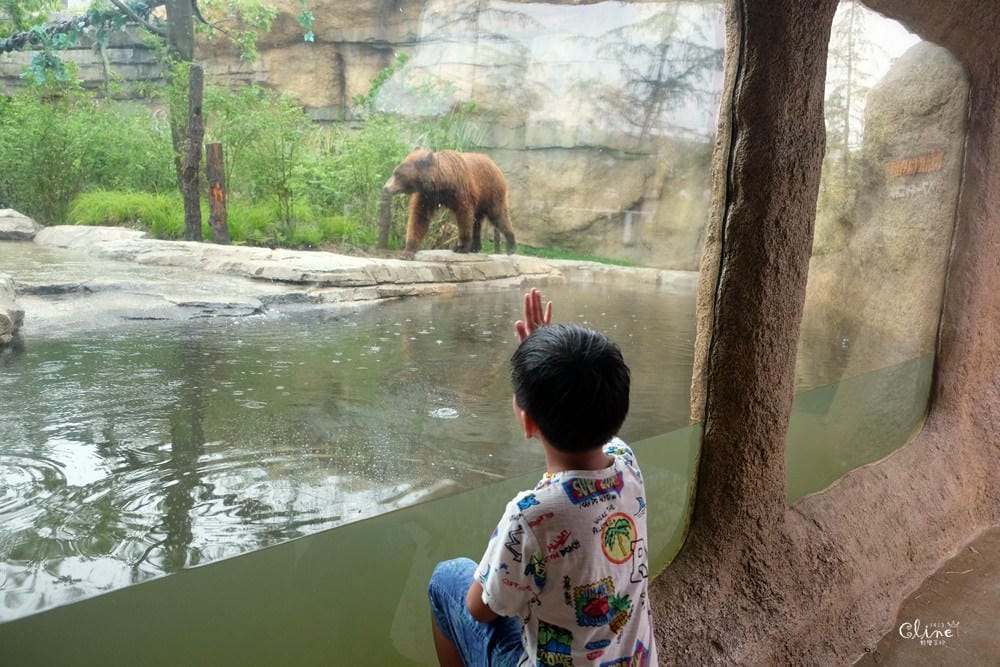 ▌神戶親子景點▌神戶動物王國(神戸どうぶつ王国) 親子行程x雨天備案好去處 - 第24張圖 ▌神戶親子景點▌神戶動物王國(神戸どうぶつ王国) 親子行程x雨天備案好去處