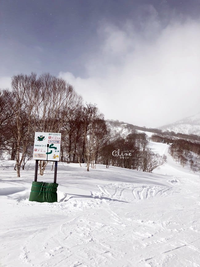▌2018日本滑雪  ▌陽光男孩苗場王子滑雪場，搭龍纜看田代湖