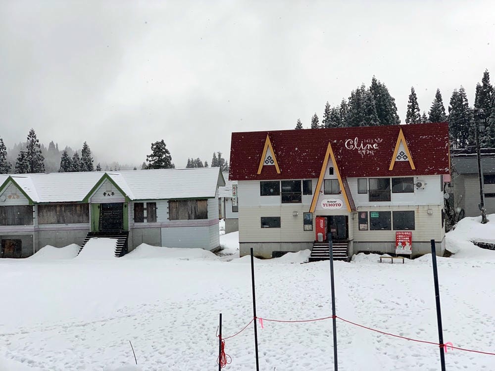 ▌日本滑雪  ▌陽光男孩上越國際滑雪場，滑雪中毒心得