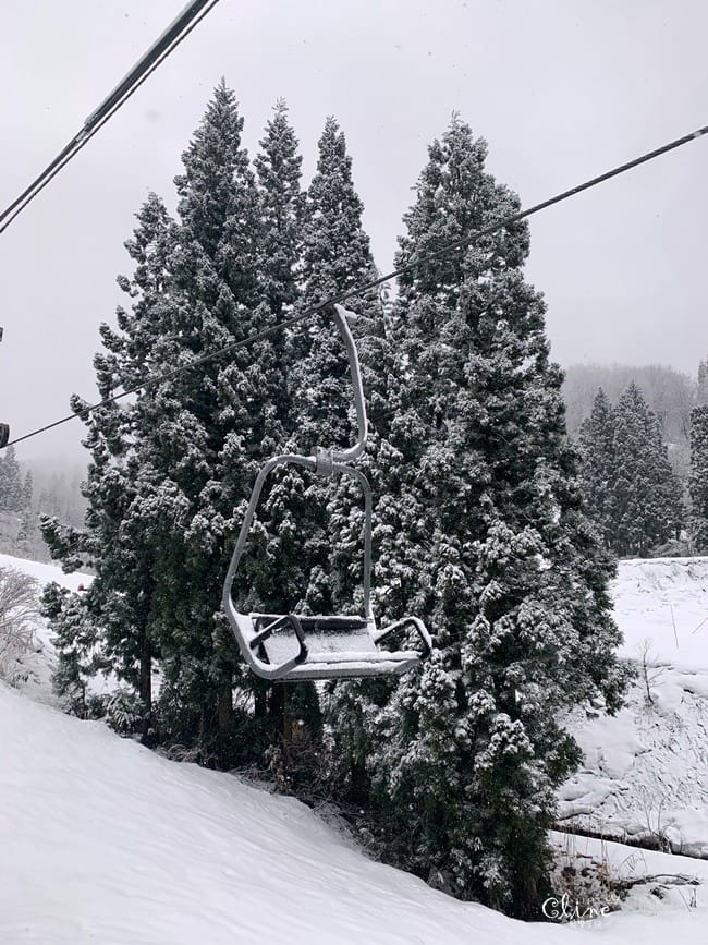 ▌日本滑雪  ▌陽光男孩上越國際滑雪場，滑雪中毒心得