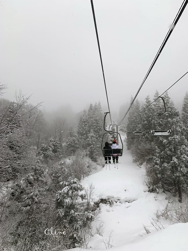 ▌日本滑雪  ▌陽光男孩上越國際滑雪場，滑雪中毒心得