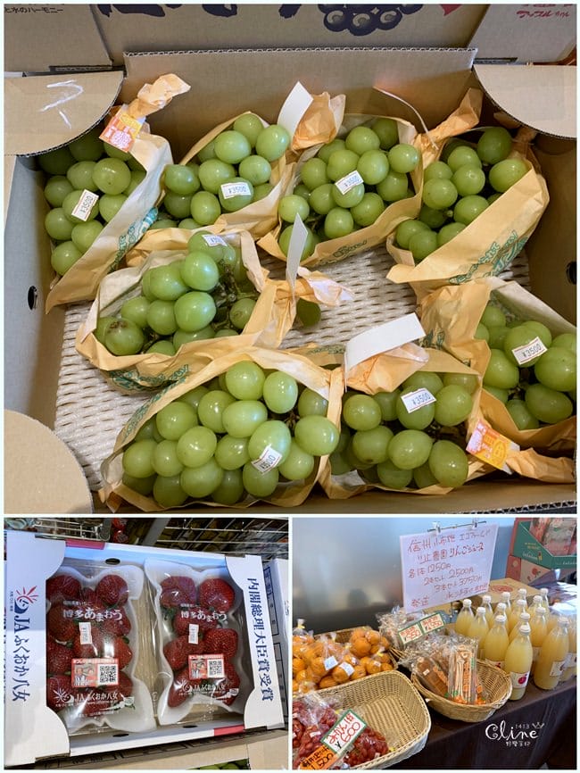 ▌輕井澤住宿▌輕井澤王子大飯店西館 (住宿篇)